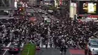 Saturday afternoon at Shibuya Crossing Tokyo [upl. by Nnodnarb]