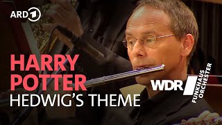 Harry Potter  Hedwig’s Theme  John Williams  WDR Funkhausorchester [upl. by Arica597]