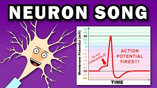 THE NEURON SONG [upl. by Atiker]