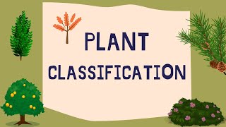 Plant classification [upl. by Bergerac574]