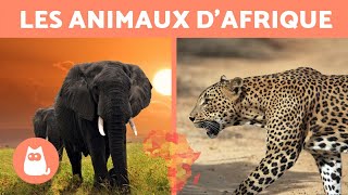 Les animaux dAfrique  10 ANIMAUX SAUVAGES de la savane africaine [upl. by Tesler]