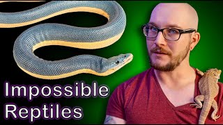 Top 5 IMPOSSIBLE TO KEEP Reptiles [upl. by Jori345]