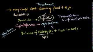 Escherichia coli treatment [upl. by Ciryl434]