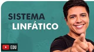 SISTEMA LINFÁTICO  ANATOMIA E FISIOLOGIA  Prof Kennedy Ramos [upl. by Kaczer140]