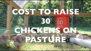 Cost to Raise 30 Chickens on Pasture [upl. by Joslyn]