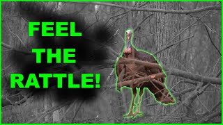 EARTH SHAKING GOBBLING ACTION  IN YOUR FACE  GREAT TURKEY AUDIO [upl. by Giffy]