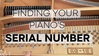 Where to Find a Piano Serial Number In Just a few steps [upl. by Jermyn]