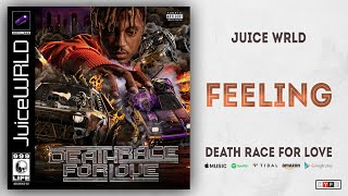 Juice WRLD  Feeling Death Race For Love [upl. by Fiona626]