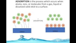 Water Purifciation By Adsorption ENGS102P [upl. by Eidna920]