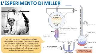 LESPERIMENTO DI MILLER [upl. by Marten]