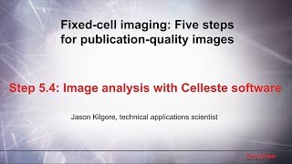 54 Image analysis with Celleste software–Fixed cell imaging 5 steps for publicationquality images [upl. by Adnilrem435]