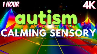 Autism Sensory Therapy Meltdown Remedy Soothing Visuals [upl. by Hackathorn890]