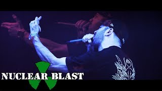 DESPISED ICON  Snake in the Grass OFFICIAL MUSIC VIDEO [upl. by Yslek]