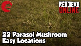 Parasol Mushroom Locations RDR2 Online  Red Dead Online Parasol Mushroom Location Guide [upl. by Snahc883]