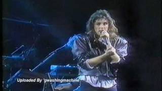 Laura Branigan  quotPower Of Lovequot LIVE 1988 [upl. by Murdock154]