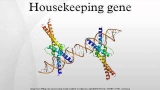 Housekeeping gene [upl. by Anigger]