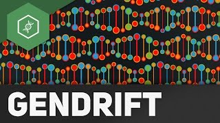 Gendrift  Flaschenhalseffekt Gründereffekt – Evolutionsfaktoren 2 [upl. by Conard]