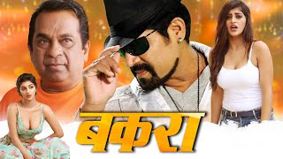 बकरा  Latest South Indian Comedy Movie Dubbed In Hindi  Srihari Yashika Brahmanandam [upl. by Verda]