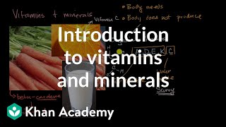 Introduction to vitamins and minerals  Biology foundations  High school biology  Khan Academy [upl. by Lucia]