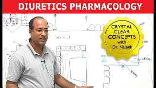 Diuretics  Pharmacology  Dr Najeeb [upl. by Nidnerb]