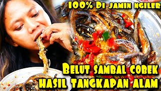 OLAHAN BELUT SAMBAL COBEK [upl. by Aikemal]