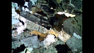 Thin section 2 [upl. by Anilatak]