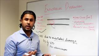 Part II  Nitric Oxide and Shear Stress [upl. by Gabor]