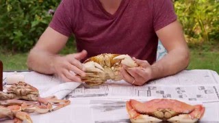 How to Eat a Crab [upl. by Lani]