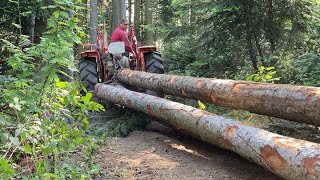 🌲Débardage et Abattage bois petit Matériel MR Boisnet [upl. by Darryn]