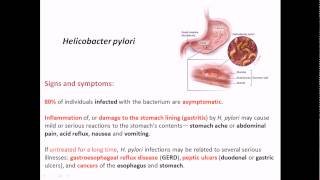 Diagnosed with H Pylori  My H Pylori Symptoms [upl. by Janeczka267]