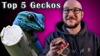 Top 5 BEST Pet Geckos [upl. by Yetah]