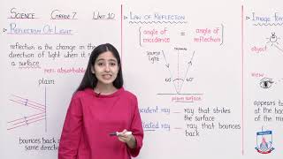 Class 7  Science  Chapter 10  Lecture 10 ReflectionRefraction  Allied Schools [upl. by Gudrin525]