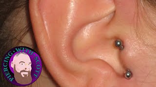 The Whole Truth  Vertical Tragus Piercing [upl. by Ihcalam]