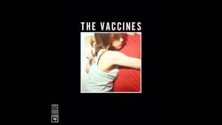 The Vaccines  Wetsuit What Did You Expect The Vaccines [upl. by Aicyla]