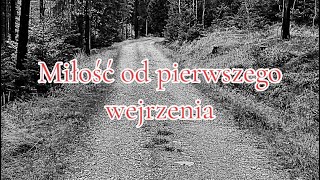 Miłość od pierwszego wejrzenia  Wisława Szymborska [upl. by Neelhtac]