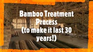 Bamboo Treatment Process for Building Construction [upl. by Ivor]