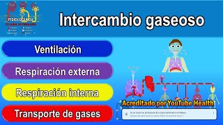 Intercambio gaseoso  Intercambio gaseoso pulmonar fisiología  Intercambio gaseoso fisiología [upl. by Eibbor]