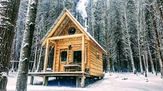 10minute Off Grid Cabin Build [upl. by Lrat214]