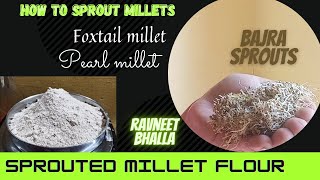 How To sprout millets Bajra ampfoxtail millet sprouted flour [upl. by Evangelina571]