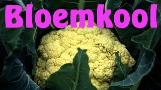 Bloemkool kweken [upl. by Adnahcal]