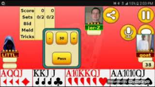 Online pinochle game [upl. by Sulihpoeht]