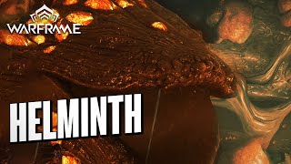 How to Unlock the Helminth System Warframe Shorts [upl. by Kendal458]