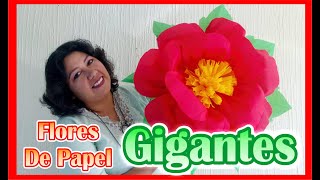 DIY  Como Hacer Flores De Papel Crepe  GIGANTES [upl. by Trilbie930]