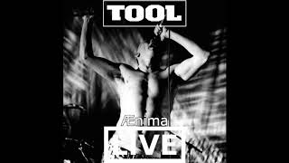 Tool Ænima Full Expanded Album Live Redux [upl. by Zirtaeb]