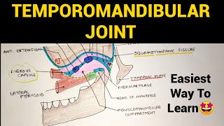 Temporomandibular Joint  1 TMJ  Head amp Neck Anatomy [upl. by Draillih407]