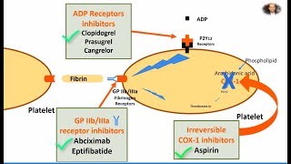 Antiplatelet Aspirin Clopidogrel and Abciximab in 2 mins [upl. by Tutt]