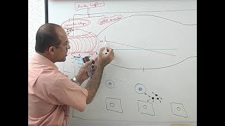 Inflammation  Vascular Events  Immunology  Dr Najeeb [upl. by Atiuqahs]