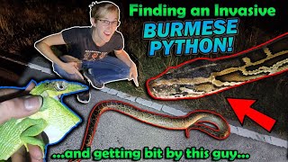 Finding INVASIVE Reptiles in Florida [upl. by Nitsirhc]