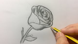 Cómo dibujar una rosa paso a paso [upl. by Farhi]