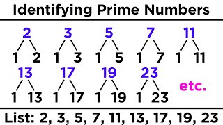 Divisibility Prime Numbers and Prime Factorization [upl. by Aihsad255]